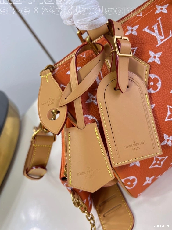 WIS Louis SPEEDY 25 Vuitton 1031